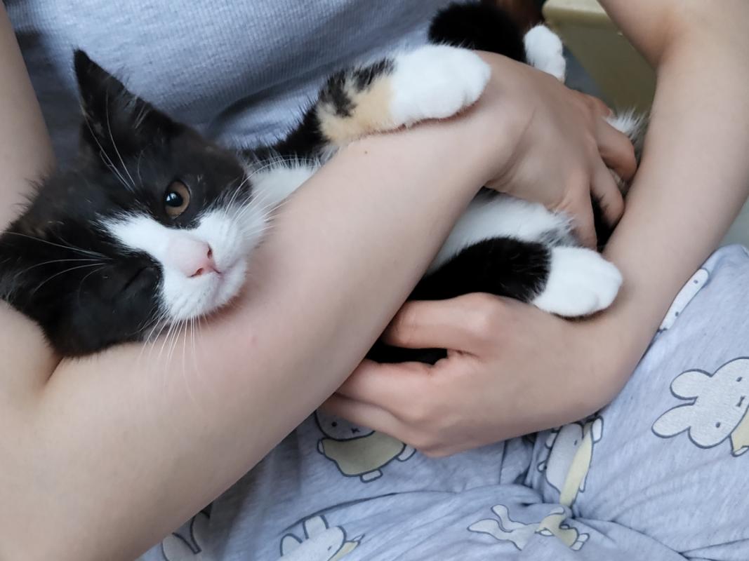 Luna