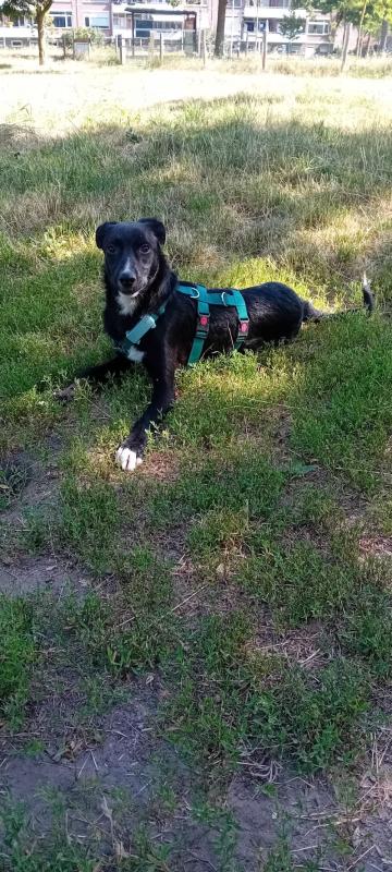 Buster
