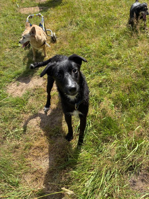 Buster