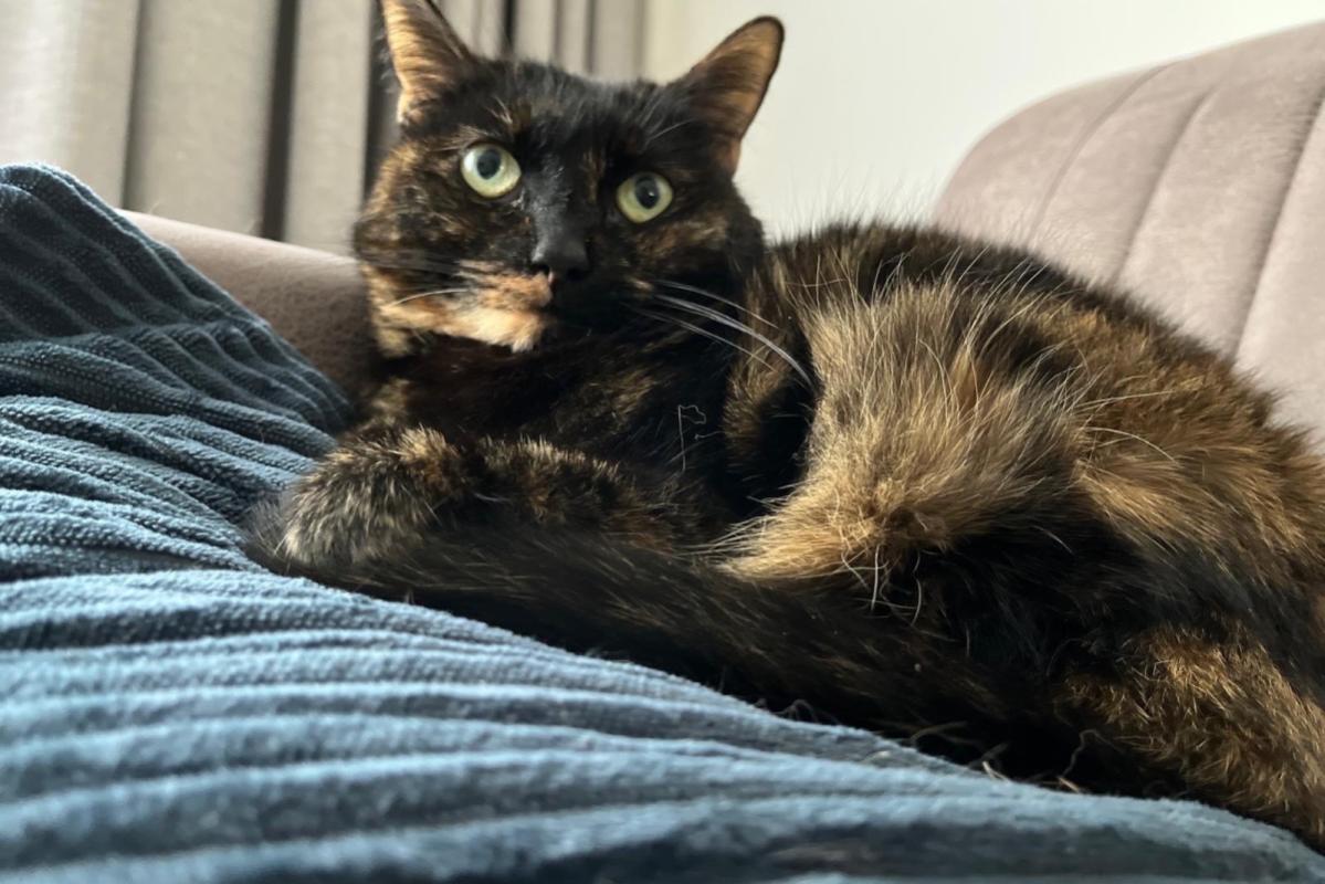 Luna
