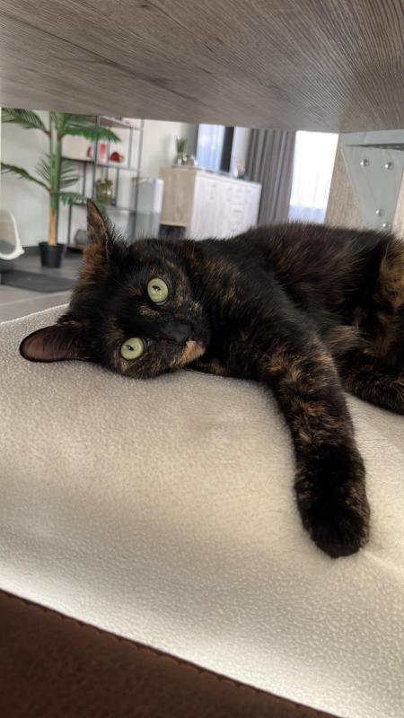 Luna