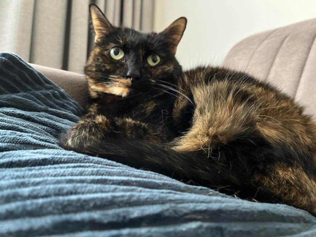 Luna