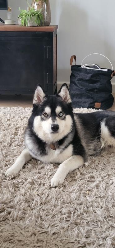 Max