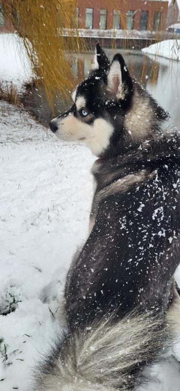 Max