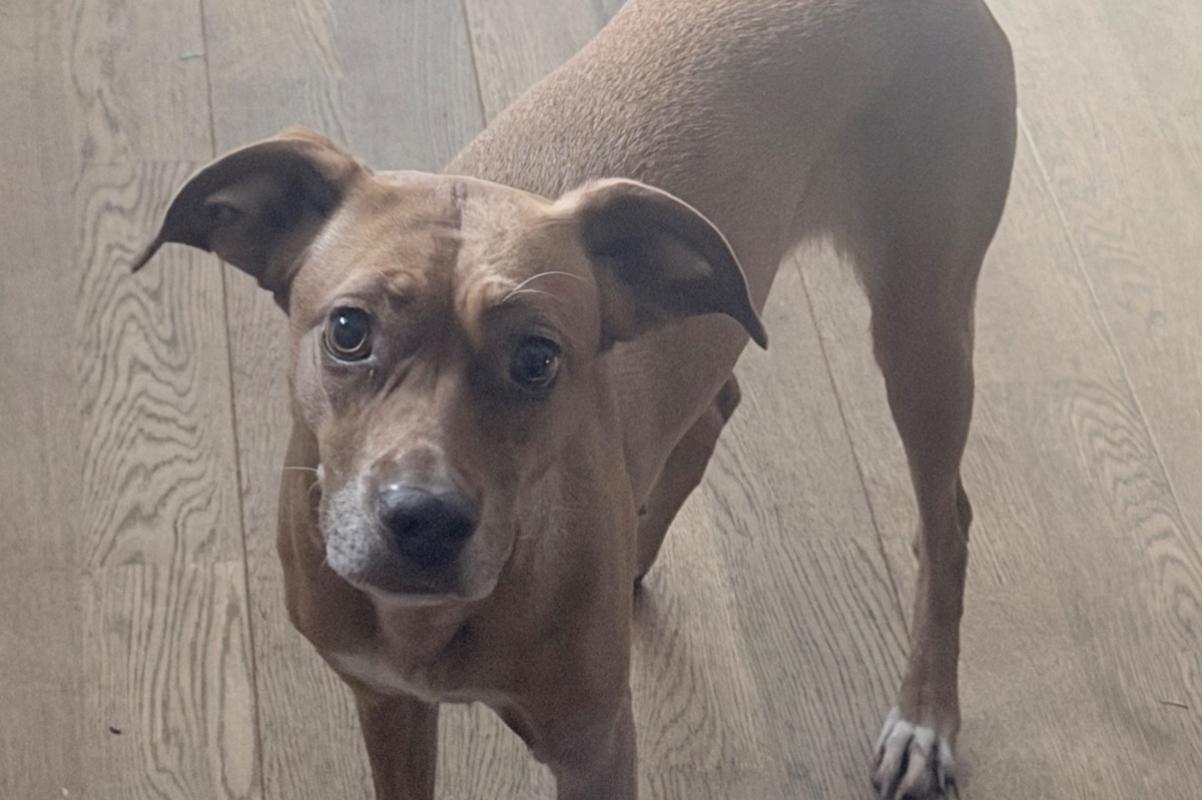 Ella