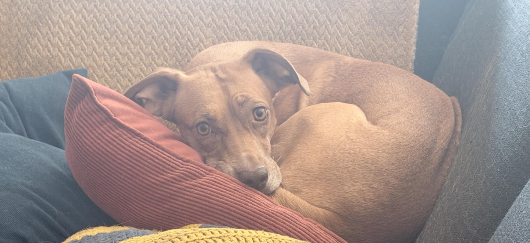 Ella