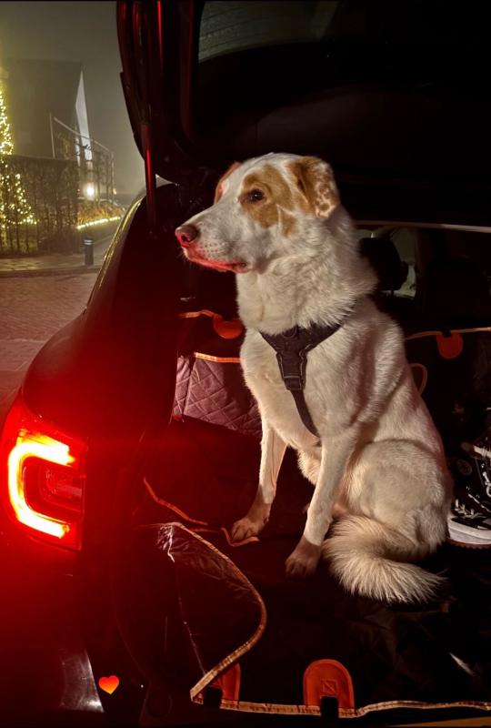 Chalky