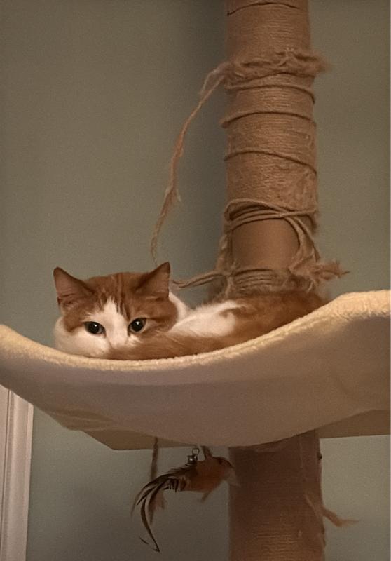 Skye