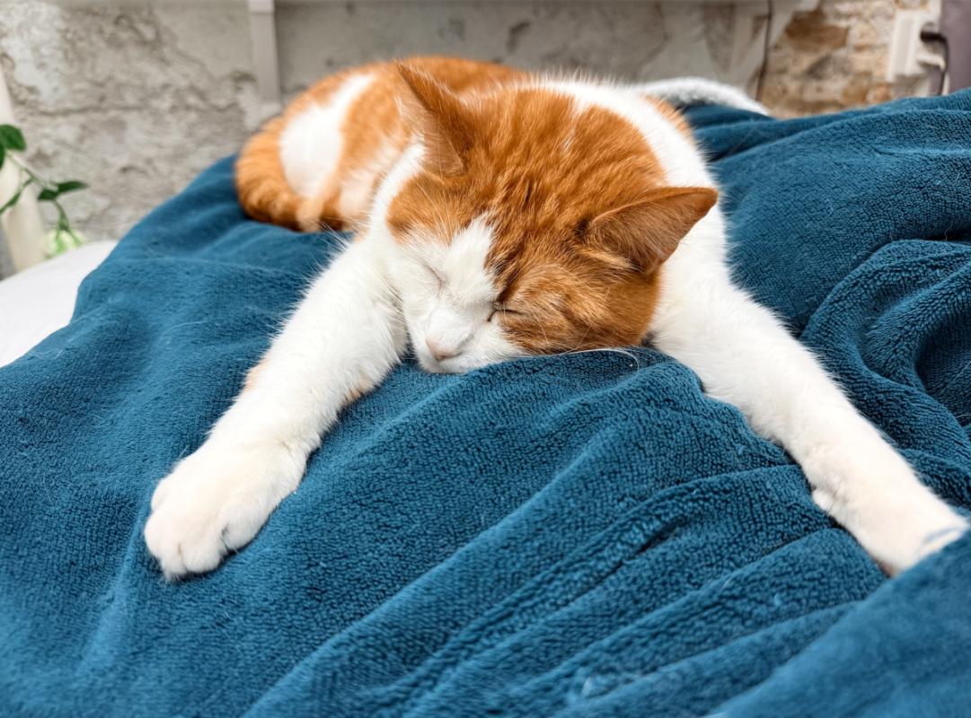 Skye