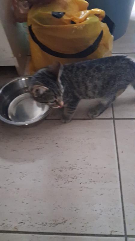 Jaxx