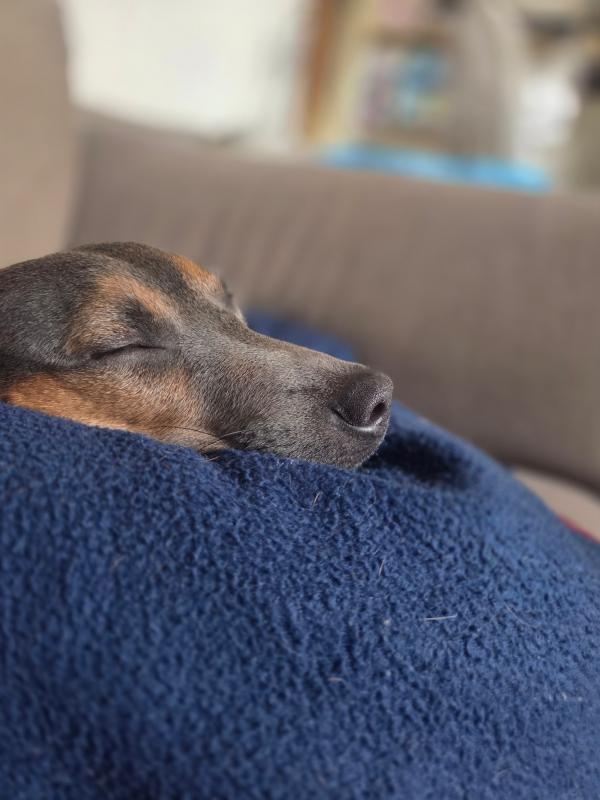 Obi