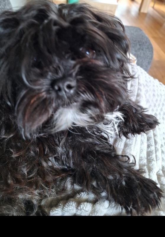 Snuffie