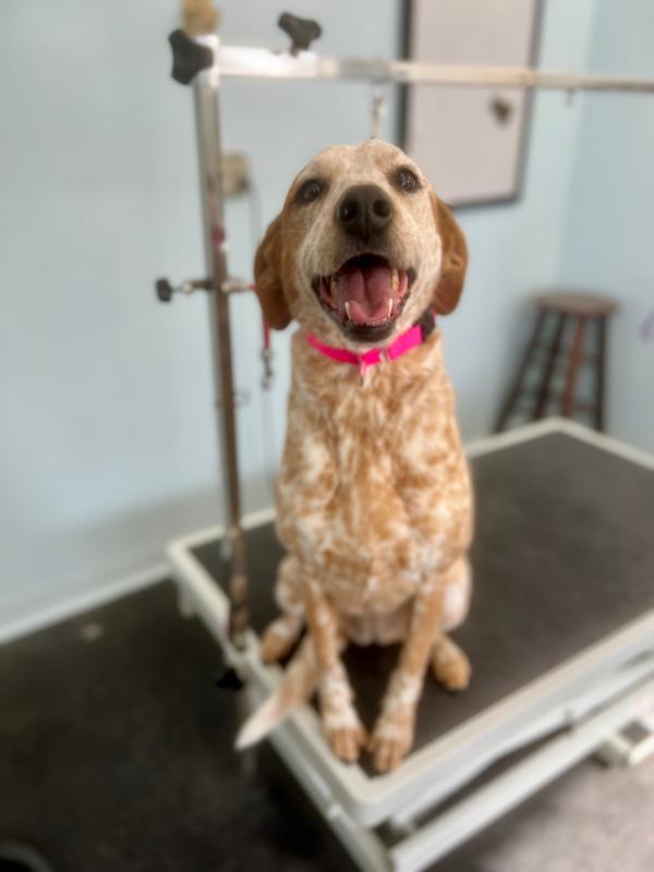Penny