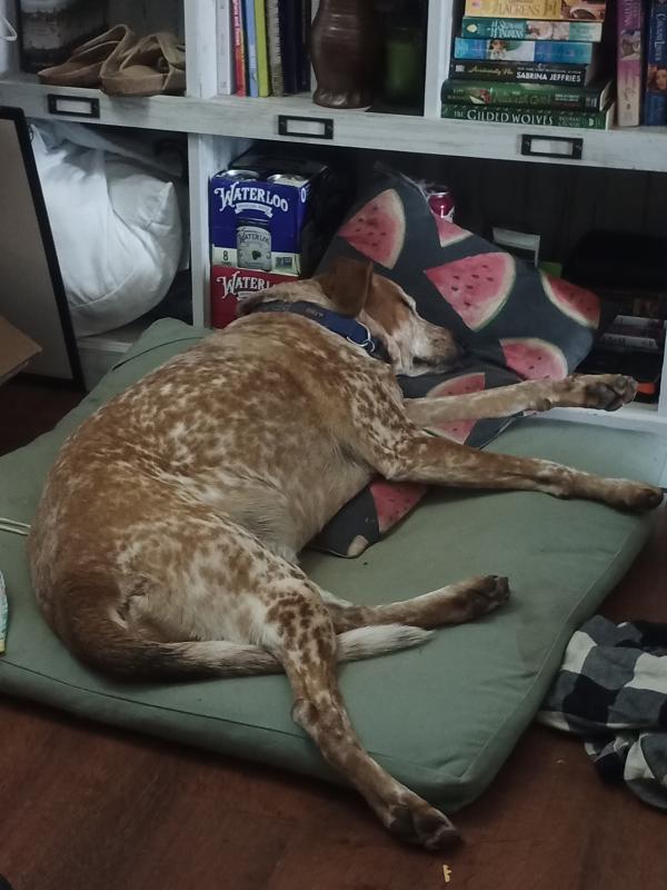 Penny