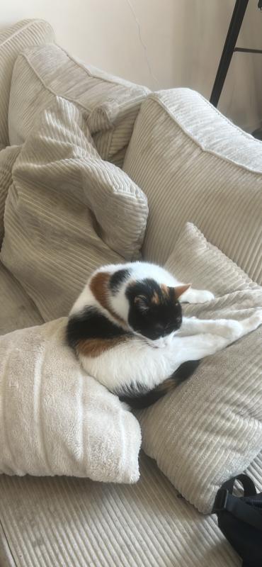Mila
