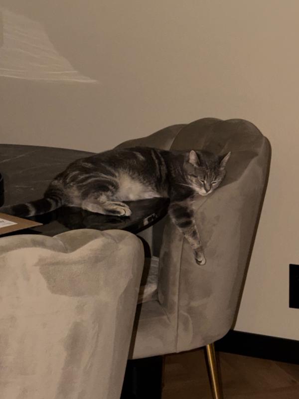 Mia