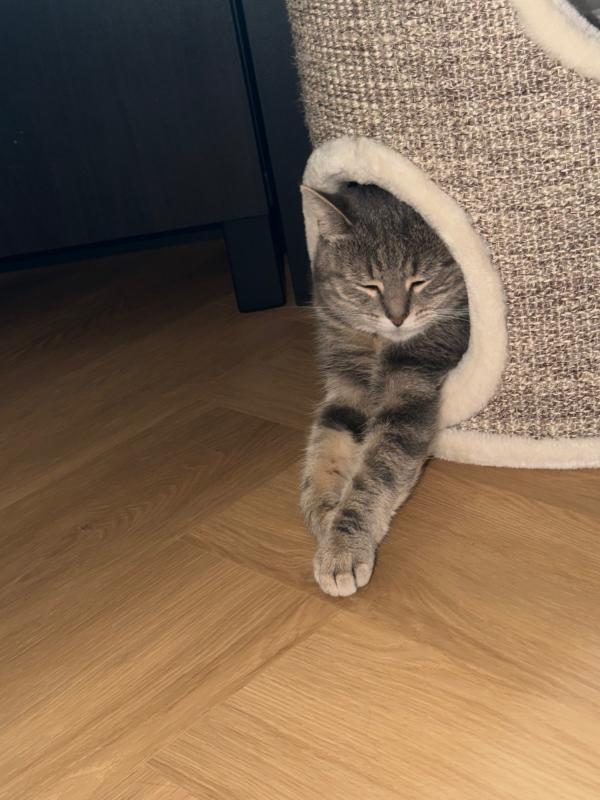 Mia