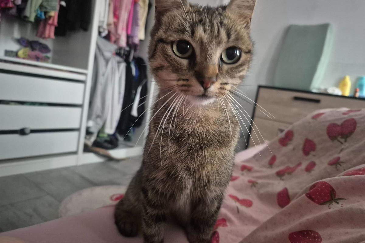 Pur