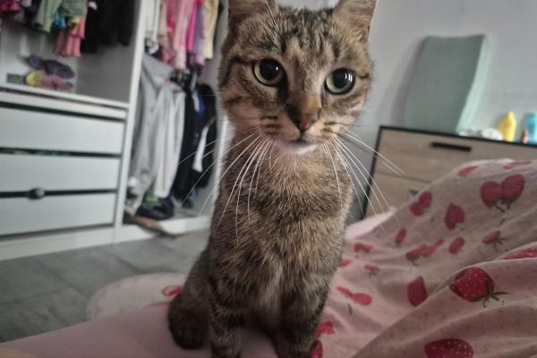 Pur