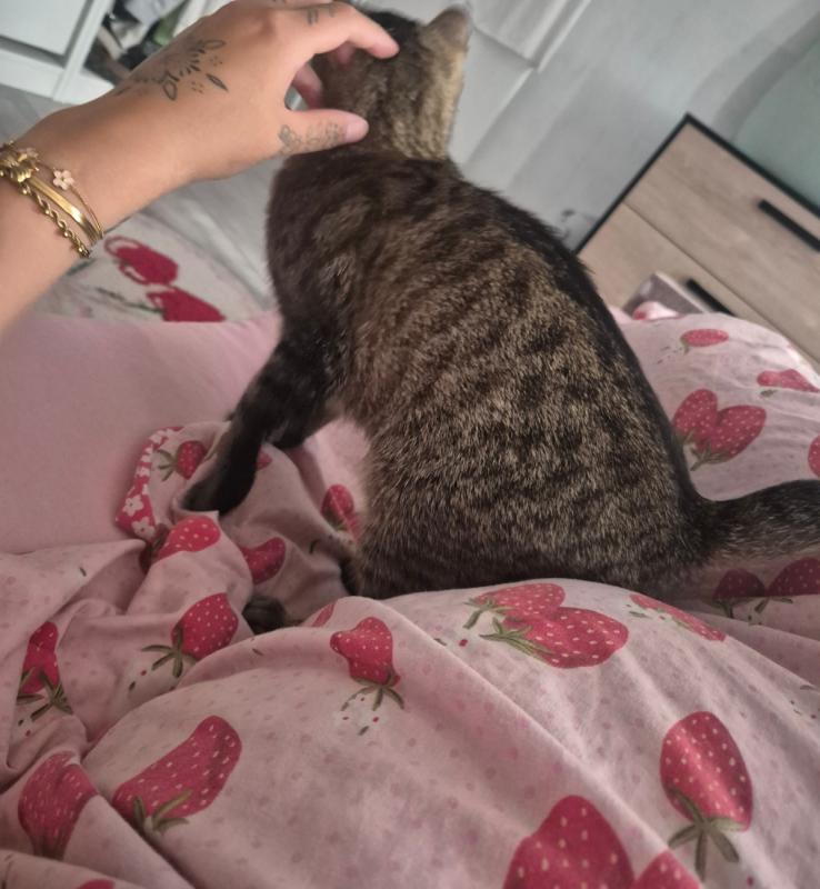 Pur