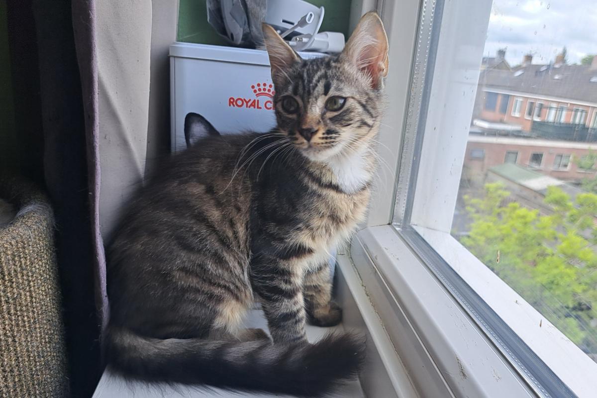 Benny