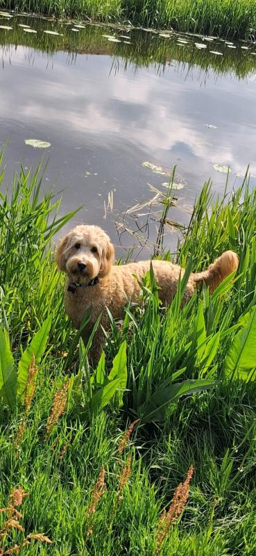 Luca