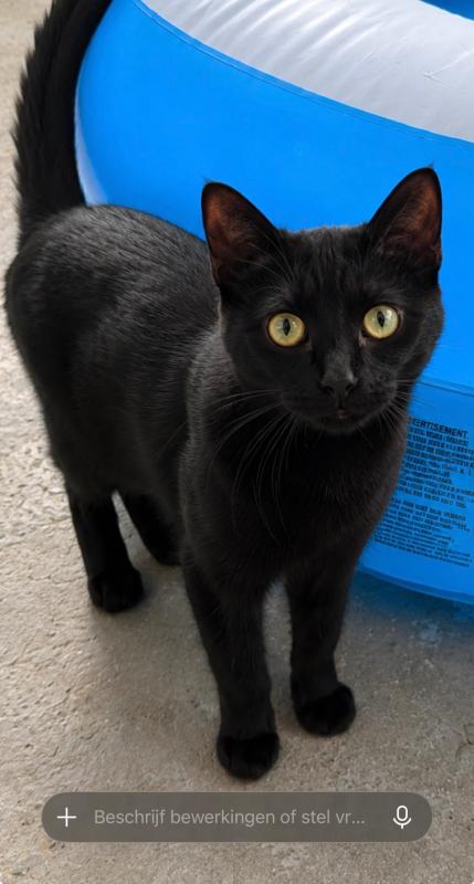 Luna