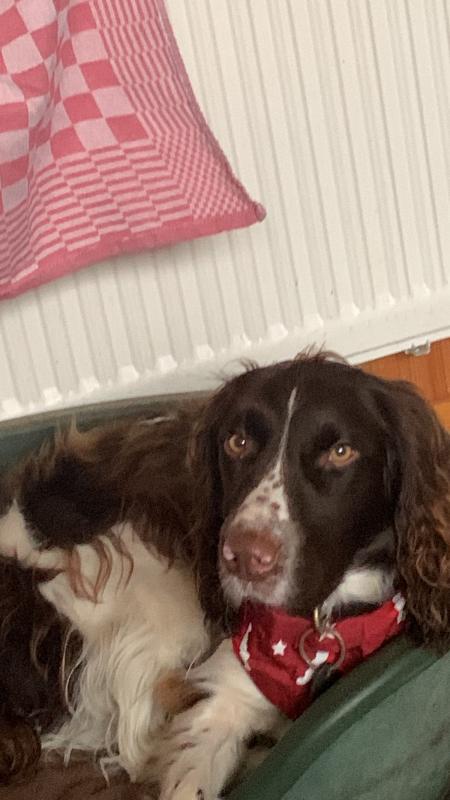 Elliot
