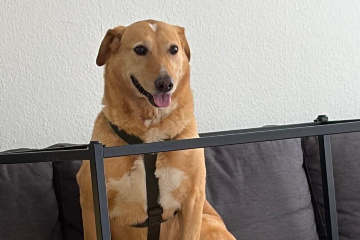 Mia