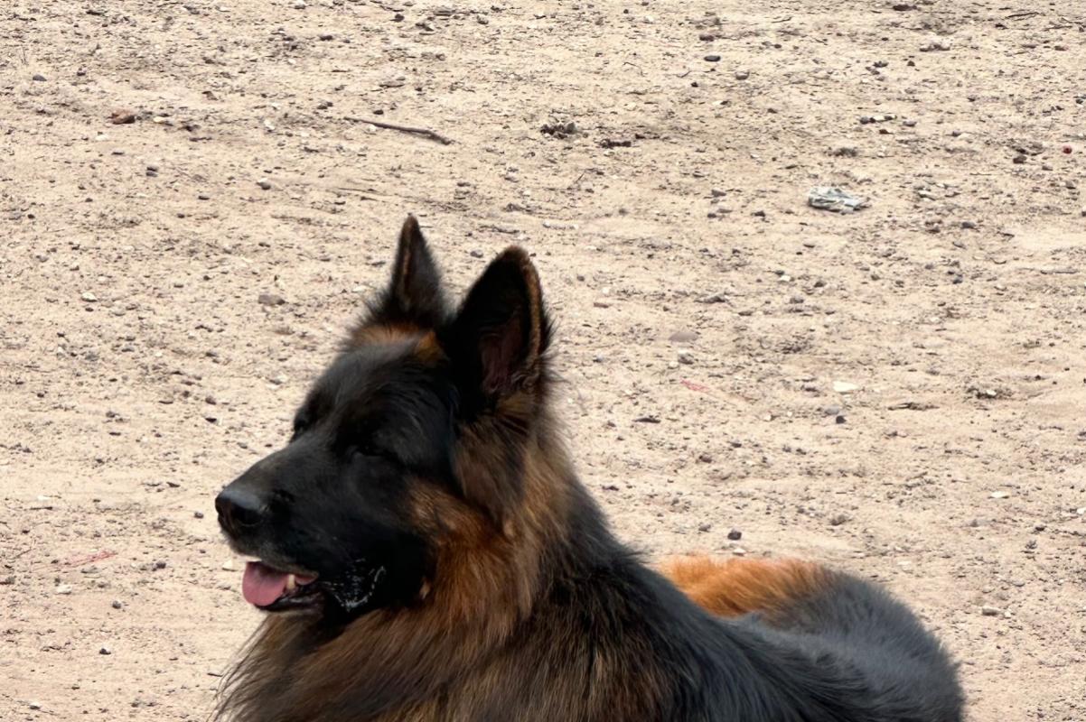 Pluto