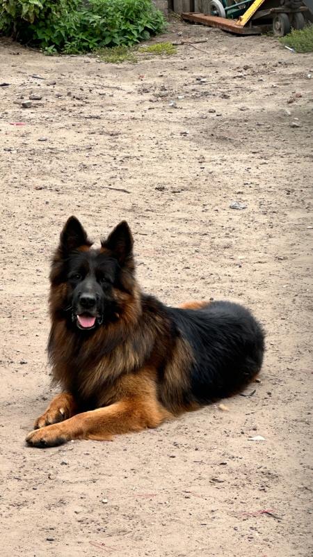 Pluto