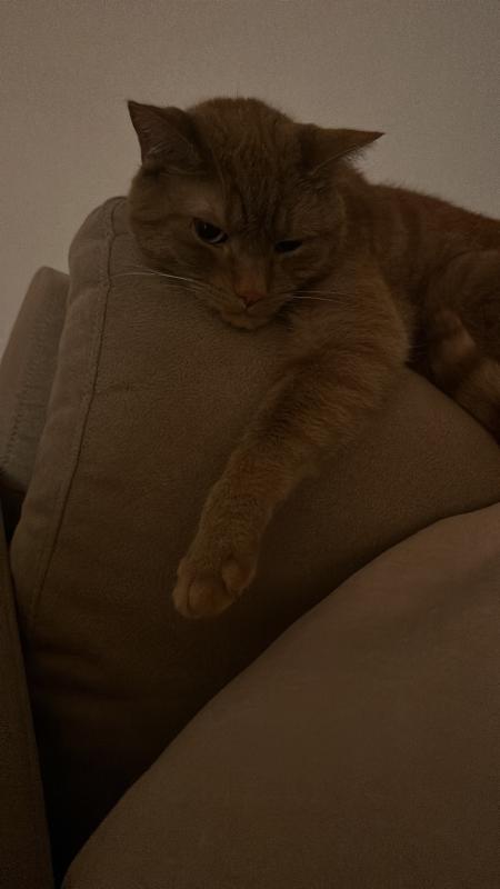 Bobby