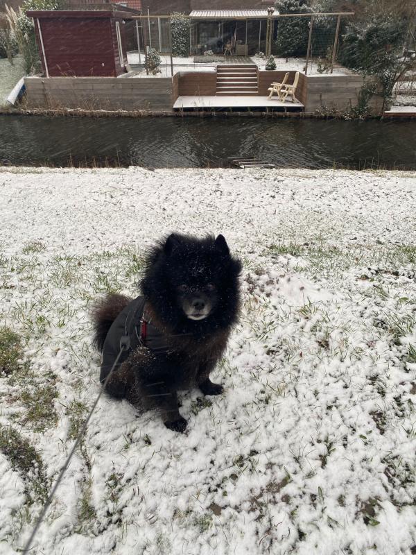 Hugo