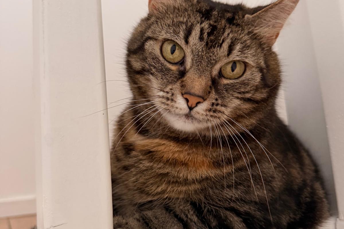 Sammie