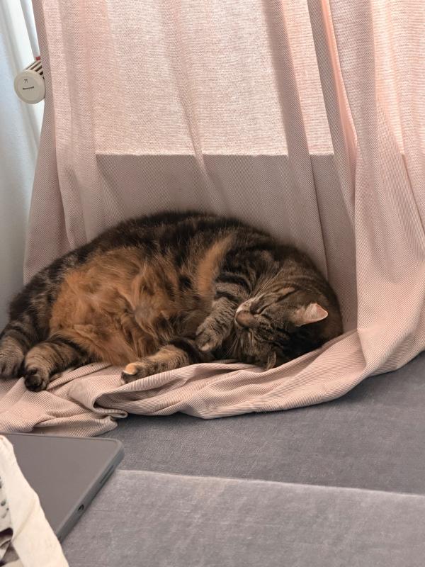Sammie