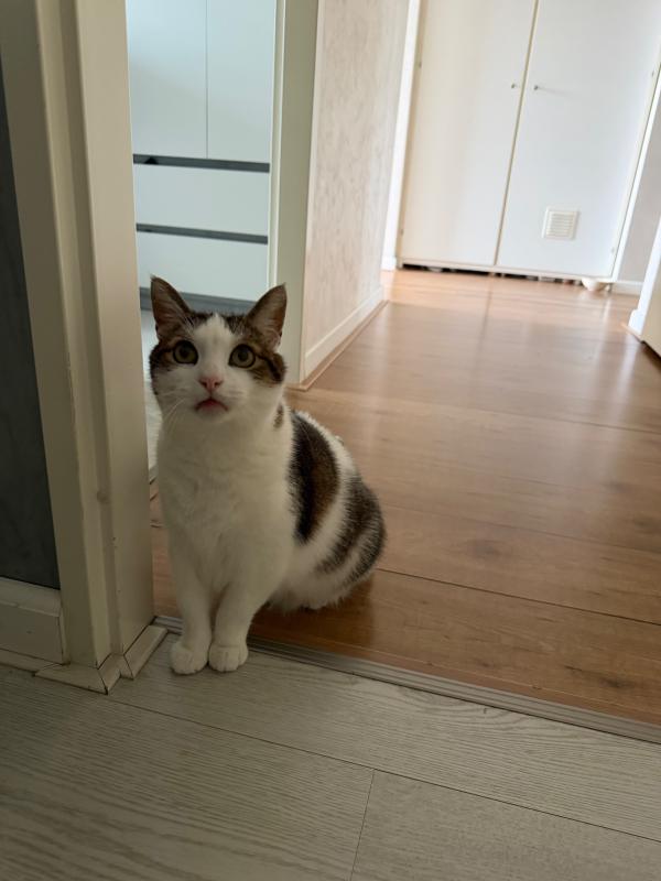 Mimi