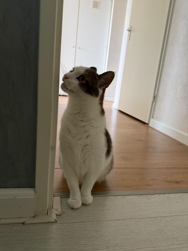 Mimi