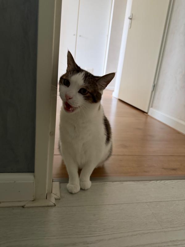 Mimi