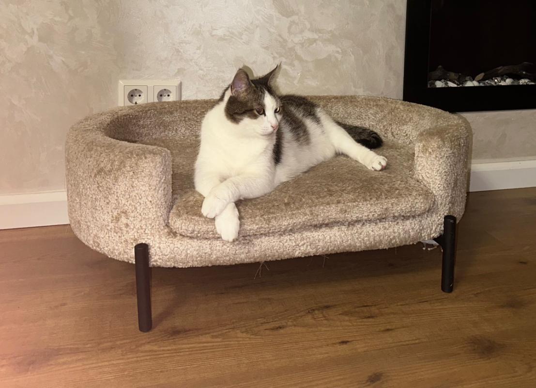 Mimi