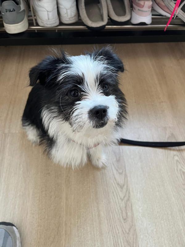 Bilbo