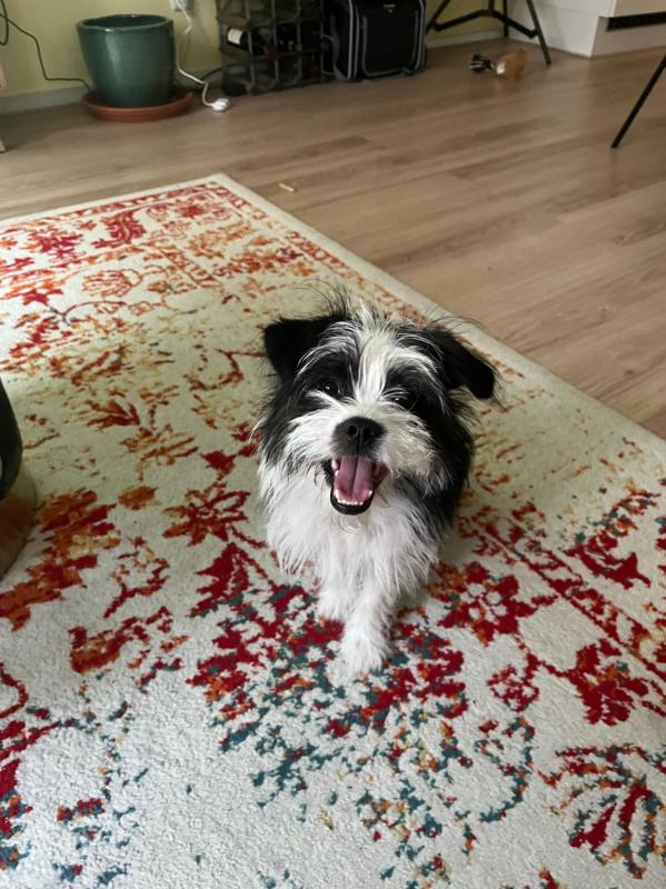 Bilbo