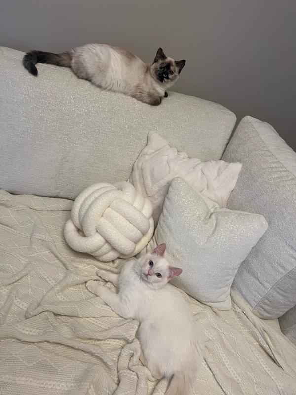 Mila + Yuki