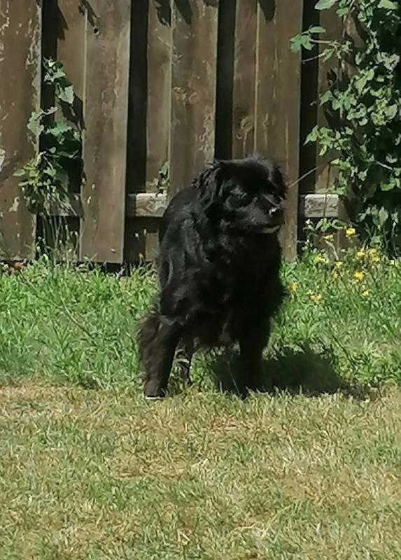 Tara