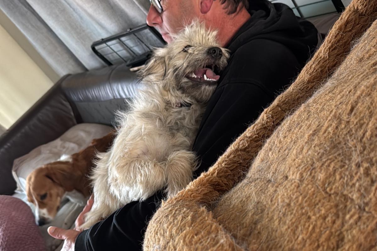 Finn