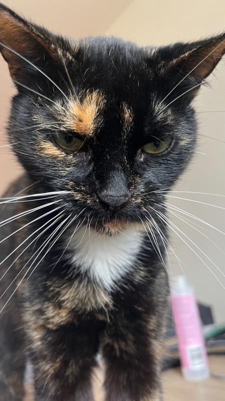 Coco