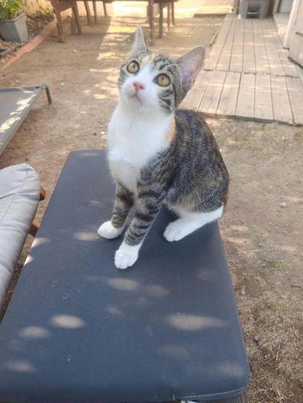Mimi