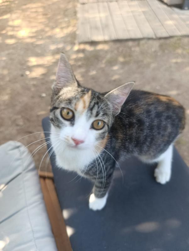 Mimi