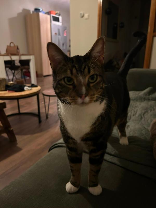 Milo