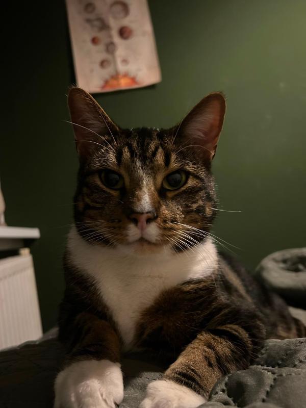 Milo