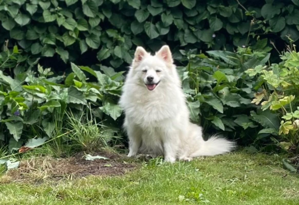Molly
